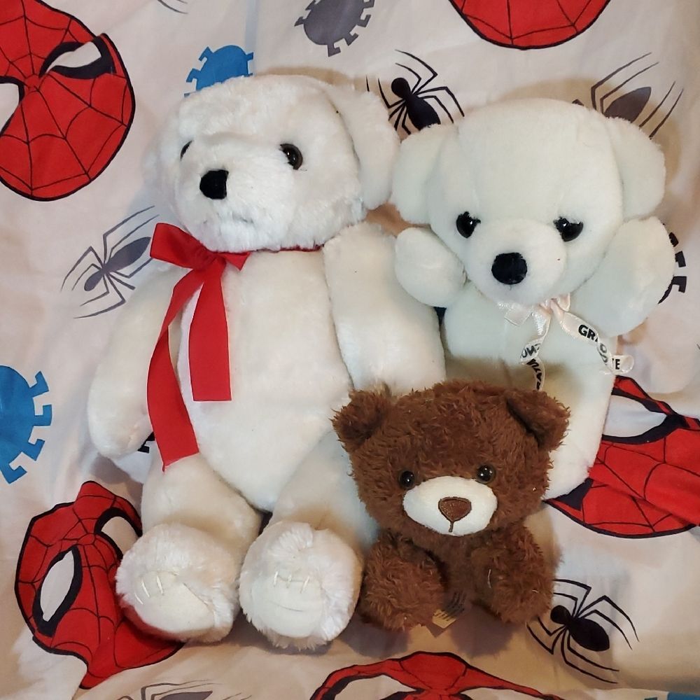 White and Brown Plush Teddy Bears Set Of 3 🌏5/$10🌏